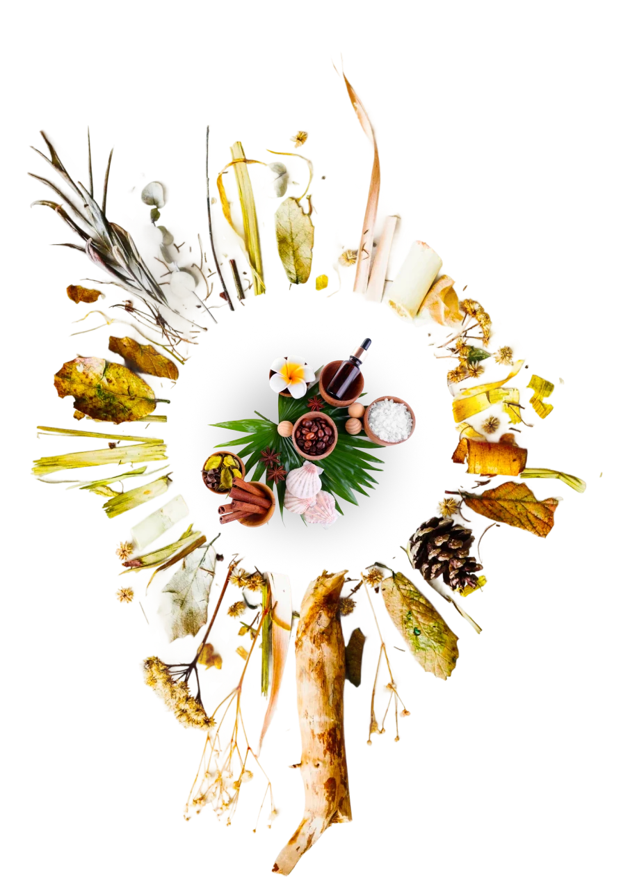 Himalayan botanical ingredients